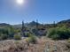 Beautiful desert lot with mountain views and native plants at 18114 W Desert Sage Dr, Goodyear, AZ 85338