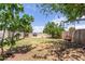 Spacious backyard with large trees and open space at 3136 W Sunnyside Ave, Phoenix, AZ 85029