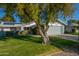 Single story home with a large tree in front at 12606 W Brandywine Dr, Sun City West, AZ 85375