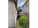 Landscaped side yard with gravel and greenery at 17274 W Morning Glory St, Goodyear, AZ 85338