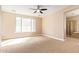 Large main bedroom with carpet floors, a ceiling fan and natural light from the large window at 263 W Rosemary Dr, Chandler, AZ 85248