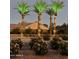 Community entrance with palm trees and lights at 3007 S Colonial St, Gilbert, AZ 85295