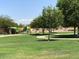 Community playground with play structures for  at 11830 W Avenida Del Sol --, Sun City, AZ 85373