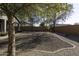 Landscaped backyard featuring gravel, stone pathway, and mature trees at 1229 E Prickly Pear St, Casa Grande, AZ 85122