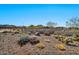 Photo of the community sign for Saguaro Recreation Center at 18961 N 264Th Ave, Buckeye, AZ 85396