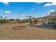 Spacious backyard with gravel, patio cover, and mature palm trees at 19611 N Stardust Blvd, Sun City West, AZ 85375