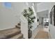 Bright entryway with carpeted staircase and large plant at 35298 W San Ildefanso Ave, Maricopa, AZ 85138