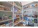 Well-organized pantry with ample shelving for storage at 4752 S Orbit Ave, Mesa, AZ 85212