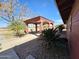 View of patio area surrounded by desert landscaping with palm trees at 50530 W Mockingbird Ln, Maricopa, AZ 85139