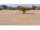 Large lot with a single-story home and desert landscape at 6210 N Poplar St, Maricopa, AZ 85139