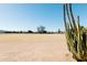 Large backyard with desert landscaping and cacti at 6212 S 37Th St, Phoenix, AZ 85042