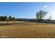 Large backyard with dry grass and distant mountains at 6212 S 37Th St, Phoenix, AZ 85042