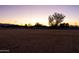 Large grassy pasture at sunset with a tree in the foreground at 6212 S 37Th St, Phoenix, AZ 85042