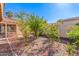 Landscaped backyard with mature fruit trees at 10662 N 33Rd Pl, Phoenix, AZ 85028
