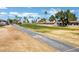 Neighborhood street view of homes with lush palm trees and a golf course at 12087 S Paiute St, Phoenix, AZ 85044