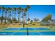 Two pickleball courts surrounded by palm trees at 17574 W Cardinal Dr, Goodyear, AZ 85338