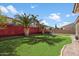 Backyard with lush green grass, two palm trees, and cornhole game at 2901 E Iris Dr, Chandler, AZ 85286