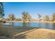 Stunning lake view with lush green landscape at 4914 E Lake Point Cir, Phoenix, AZ 85044