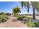 Dirt path meanders through a neighborhood with mature trees and shrubs at 9745 W Agora Ln, Tolleson, AZ 85353