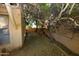 Small, private backyard with mature trees at 10419 N 10Th Pl # 2, Phoenix, AZ 85020