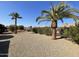 Spacious backyard with gravel landscaping, palm trees, and desert plants at 14226 W Via Montoya --, Sun City West, AZ 85375