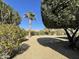 Large backyard with gravel, mature trees and shrubs at 14226 W Via Montoya --, Sun City West, AZ 85375