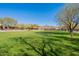 Expansive grassy area with mature trees and mountain backdrop at 17353 N 99Th St, Scottsdale, AZ 85255