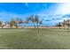 Golf course putting green with palm trees at 17802 N Bridle Ln, Surprise, AZ 85374