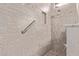 Walk-in shower with grab bar and tiled walls at 17802 N Bridle Ln, Surprise, AZ 85374