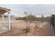 Large backyard with basketball hoop and space at 203 E Beech Ave, Casa Grande, AZ 85122