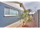 Side view of a dark blue house with a small tree at 203 E Beech Ave, Casa Grande, AZ 85122