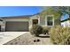 Modern single-story house with a brown garage door and small front yard at 24646 N Barley Rd, Florence, AZ 85132