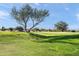 Landscaped golf course with mature trees and fairways at 29840 N 43Rd Way, Cave Creek, AZ 85331