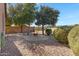 Landscaped backyard with firepit and mature trees at 29874 N Little Leaf Dr, San Tan Valley, AZ 85143