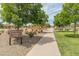 Scenic community park pathway in The Bridges at Gilbert with playground, landscaping, and lush green trees at 3501 E Apricot Ln, Gilbert, AZ 85298