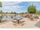 Picnic tables surround a serene lake with park views and landscaping at The Bridges at Gilbert community at 3501 E Apricot Ln, Gilbert, AZ 85298