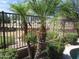 Landscaped backyard with a view through a metal fence at 3919 E Blue Sage Rd, Gilbert, AZ 85297