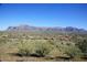 Community overview with mountain backdrop at 4741 S Desert Dawn Dr, Gold Canyon, AZ 85118