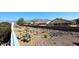 Landscaped yard with desert plants and cacti at 4741 S Desert Dawn Dr, Gold Canyon, AZ 85118