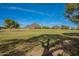 Expansive community greenspace with mature trees, providing a relaxing and inviting atmosphere at 6366 N 19Th St, Phoenix, AZ 85016