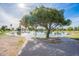 Beautiful community pond with a mature tree, creating a serene and picturesque setting at 6366 N 19Th St, Phoenix, AZ 85016