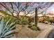 Desert landscaping with mature trees and cacti surrounds this lovely home at 7500 E Boulders Pkwy # 11, Scottsdale, AZ 85266