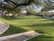 Expansive grassy greenbelt area with mature trees and landscaping at 7668 E Thunderhawk Rd, Scottsdale, AZ 85255