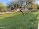 Landscaped greenbelt with mature trees and grassy lawn at 7668 E Thunderhawk Rd, Scottsdale, AZ 85255