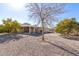 Backyard view showing a covered patio and citrus trees at 9826 W Emberwood Dr, Sun City, AZ 85351