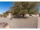 Side view of the house showcasing a large tree and rock landscaping at 9826 W Emberwood Dr, Sun City, AZ 85351