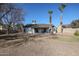 Spacious backyard with covered patio and mature trees at 1025 E Kerry Ln, Phoenix, AZ 85024