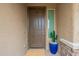 Modern front door with a blue pot and cactus decoration at 10834 W Swayback Pass, Peoria, AZ 85383