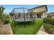 Spacious backyard featuring lush green grass, a large trampoline, and a well-maintained home at 13235 W Tether Trl, Peoria, AZ 85383