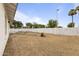 Large backyard with a new block fence for privacy and landscaping possibilities at 13804 N 52Nd Dr, Glendale, AZ 85306